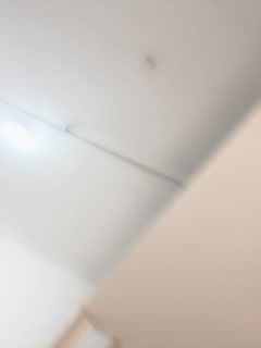 虫灾