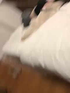 调教嫡女成奴h