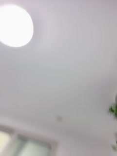 欧美伦理电影免费在线观看