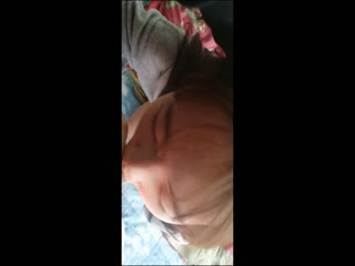 中国性猛交xxxx乱大交3