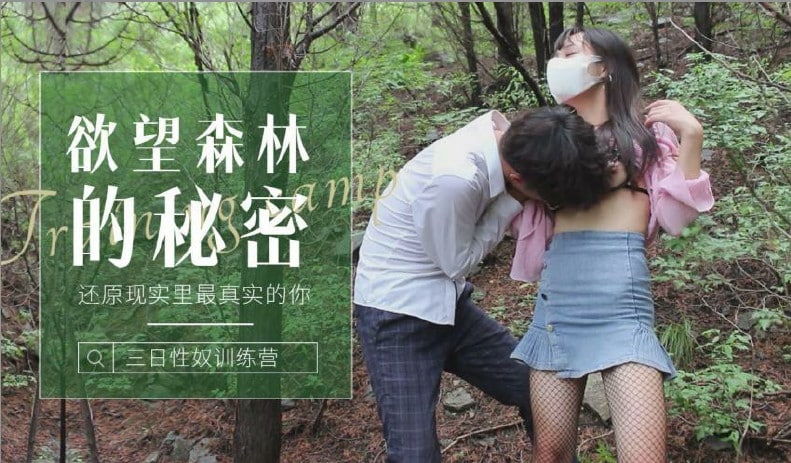 成人av在线