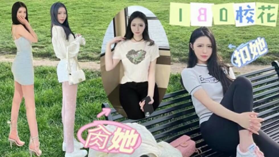 三级全黄网站版