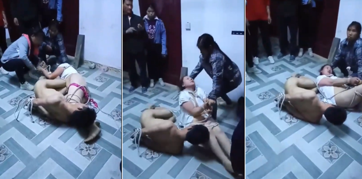 骚虎视频在线免费观看