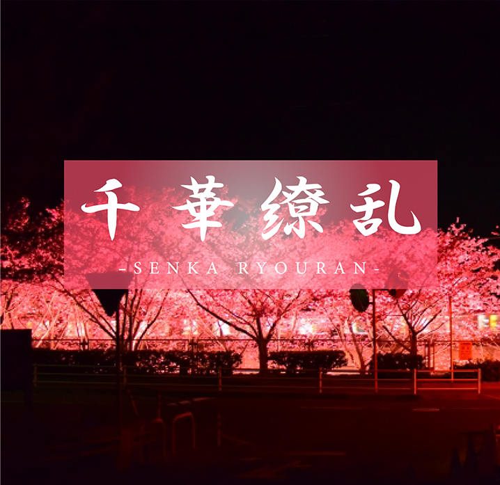 狂操美女小穴