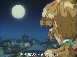 国产db色谱柱