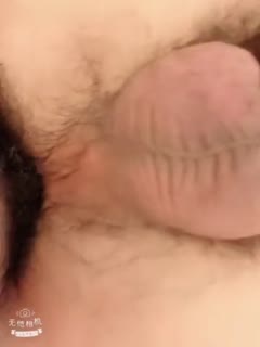 裙子里面是野兽哔哩哔哩