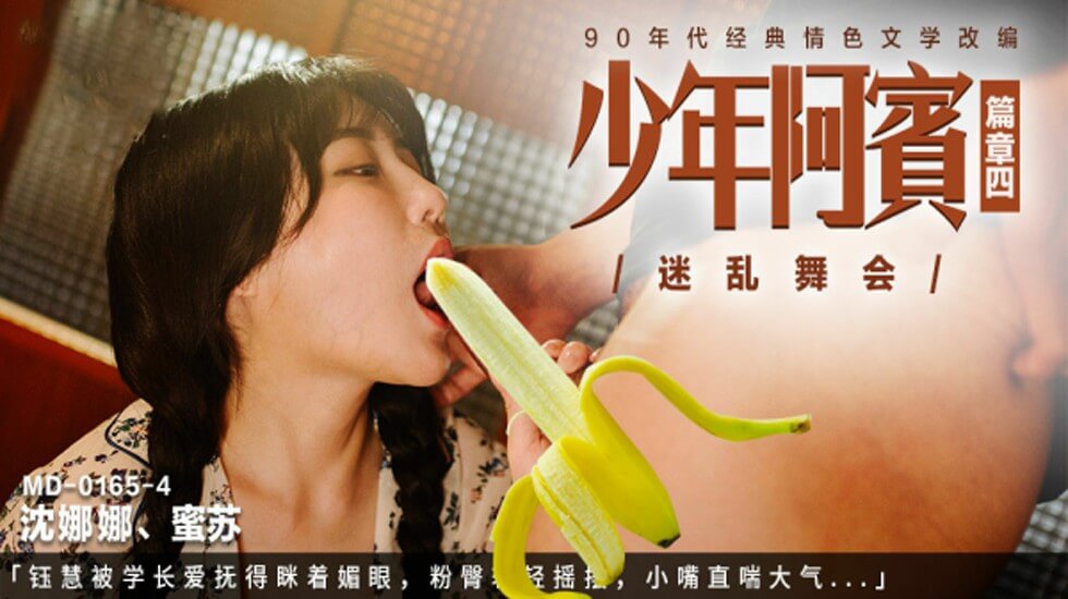 婢女系列h