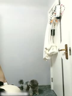 虐茎虐睾调教
