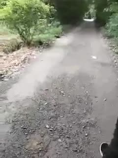 李采潭智能机器人