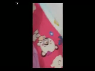 伊人色情直播app