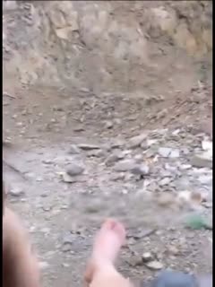 神宫寺电影在线