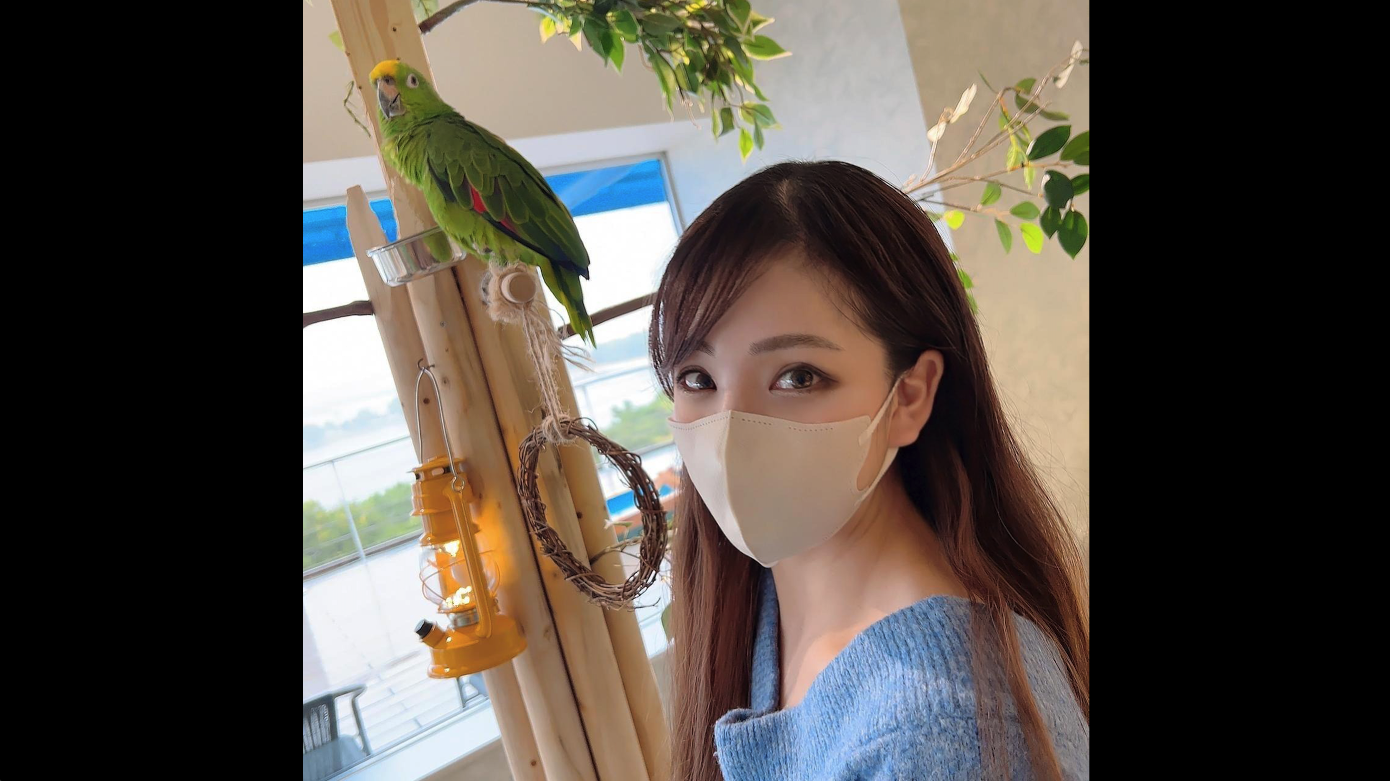 爸爸去哪儿第6季免费观看完整版
