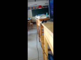 电视剧《牵手》