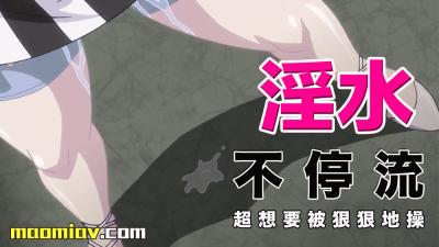 查理的农场在线完整免费播放