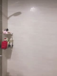 久久麻豆av
