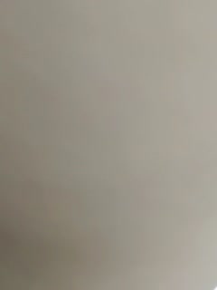 双性调教高h