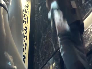 将军娇乳h1v1