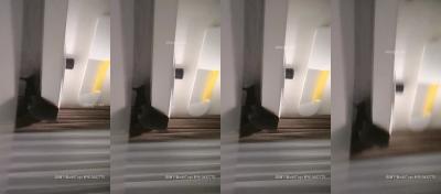 女人裸体夜夜爽快