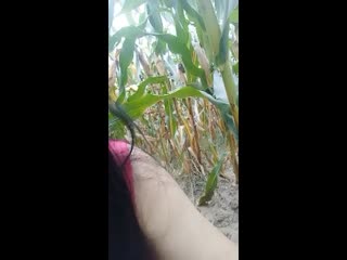 《妻子5》在线观看全集国语