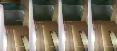 欧美一性一看一免费视频