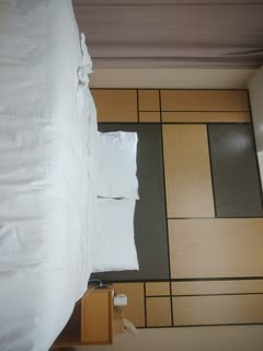 麻花传md0175