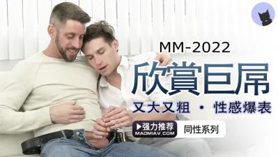 yw193更换了哪个域名