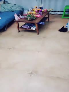 成人6969www色在线