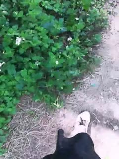 捆绑裸体绳奴b女体调教d