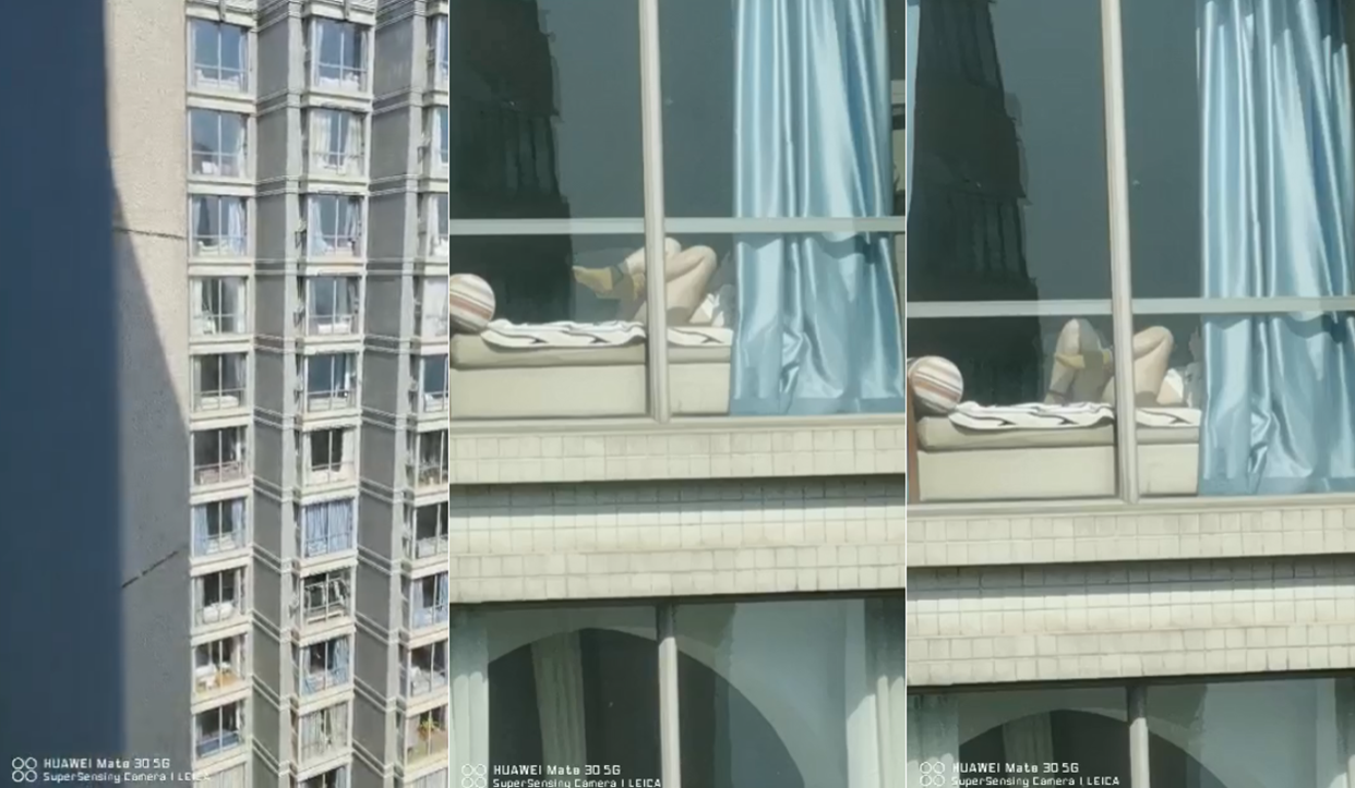 欧美人与物videos另