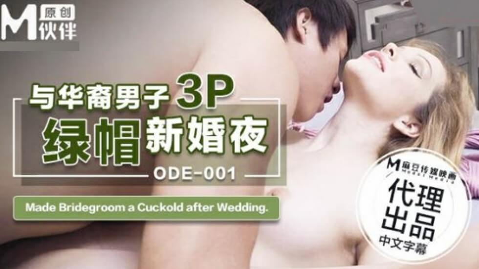 老婆出轨小说