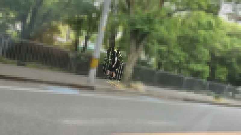 大地中文在线观看免费高清