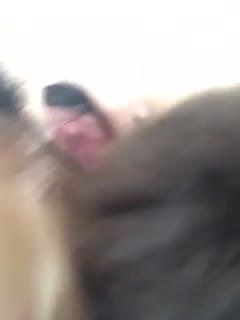 周末同床在线看