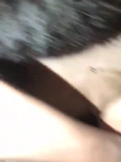 麻豆免费在线播放