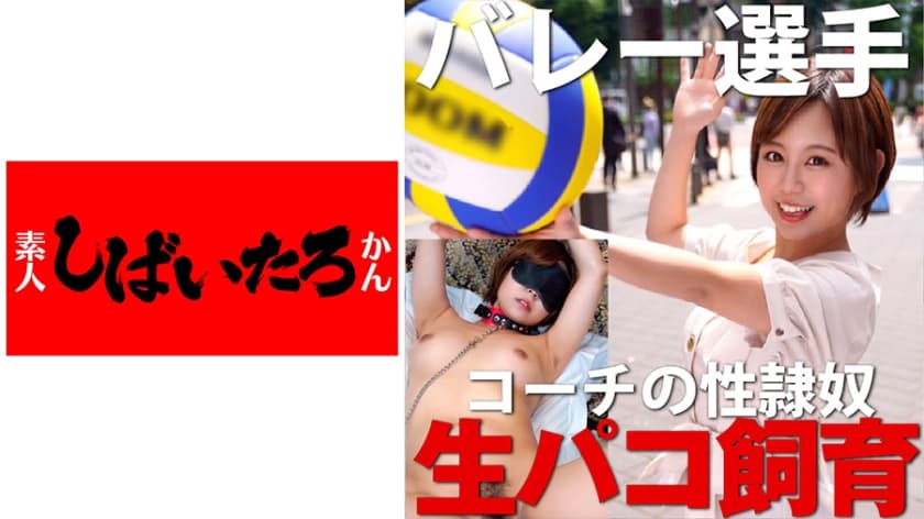 电影三极片
