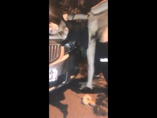 玖玖爱视频在线