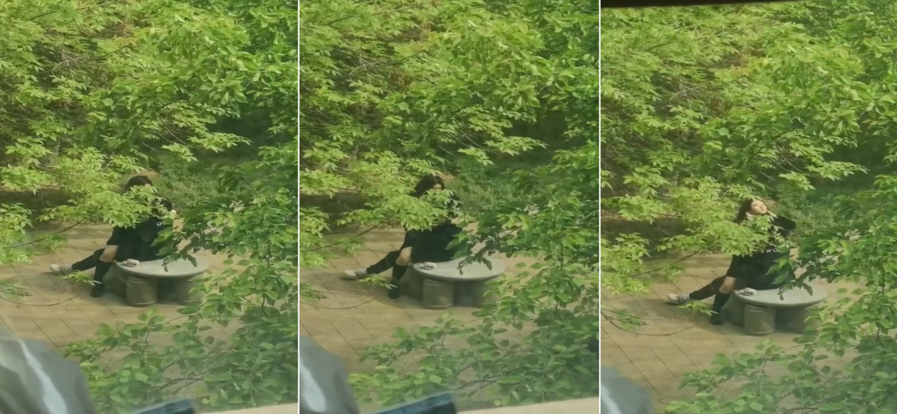 jvid在线精品观看