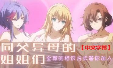 羞耻到哭H打烂p屁调教