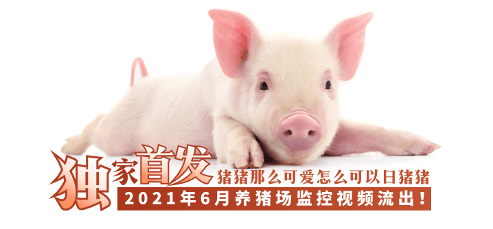 免费操逼视频网址