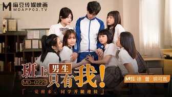 国产一级免费av