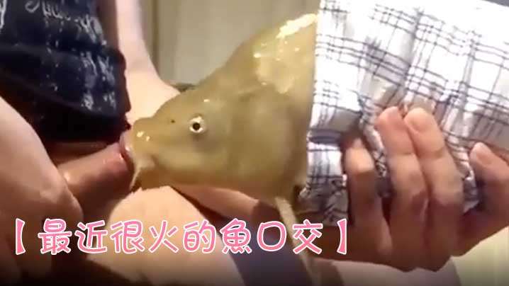 日本黄色电影日人和美国人黄色电影