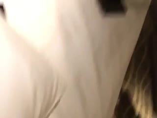 无套内谢少妇毛片A片图片
