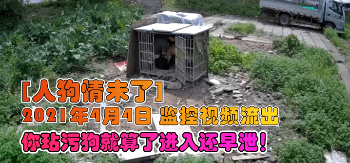 三级片无码激情