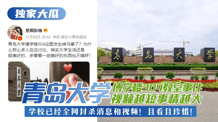 欧美性爱XⅩX