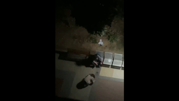 干逼视频免费下。