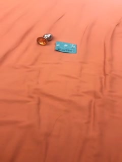 西瓜毛片视频真人