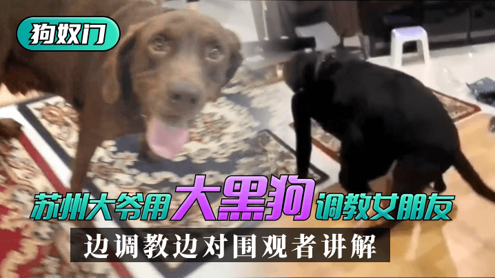 《电车欲淫4》伦理观看