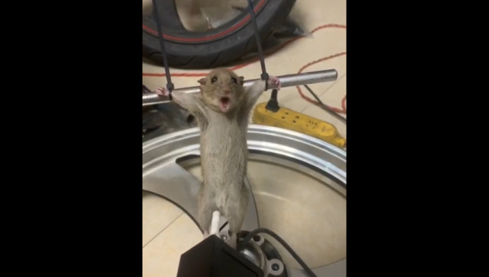 欧美五级片免费看