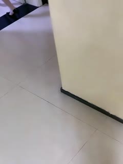 天天草天天爱