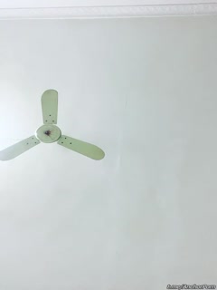 免费看麻豆