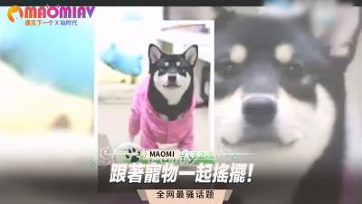 午间看黄又大又粗